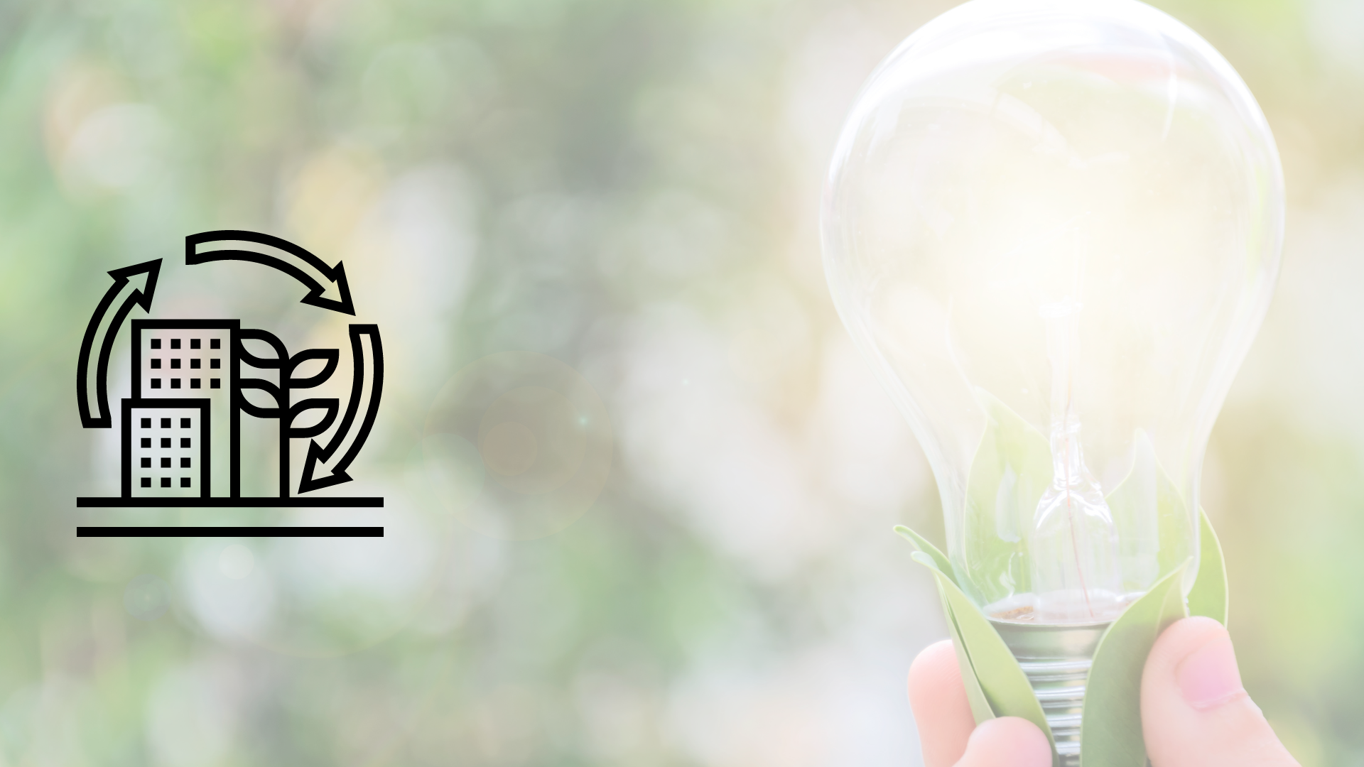 mano-sosteniendo-foco-con-hojas-verdes